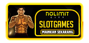 NO LIMIT CITY